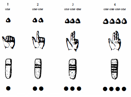 Cardinal representations of the first four numbers