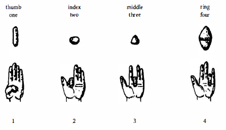 Ordinal representations of the first four numbers